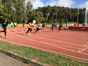 9C611E05-8E84-429D-AD0D-E0A0333C50A6