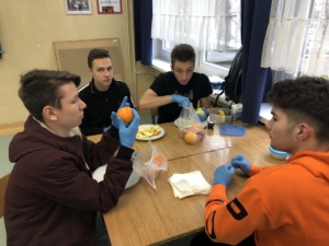 391A2364-369A-4F76-B38D-0758658C55D9