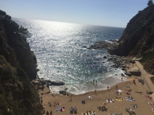 70577A8A-976A-4F56-A829-DE0CF8F2E9BD