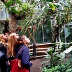 51BA3414-A227-4709-A309-FDCFE7531715