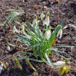 A4EBC530-643A-4686-B380-26A52EA243CD