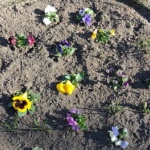 E3482A2B-F53F-4A99-A6D1-6F982D6A0EAD