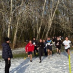 8ab0de8b-207c-483b-9703-526e610e74b8