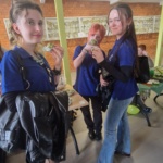 1dba995a-1a62-4782-9546-67059cad7eeb_1